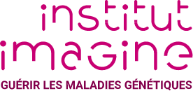 Institut Imagine Logo